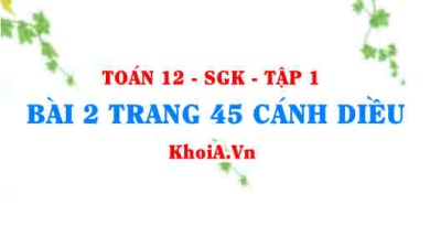 Bài 2 trang 45 Toán 12 tập 1 Cánh Diều